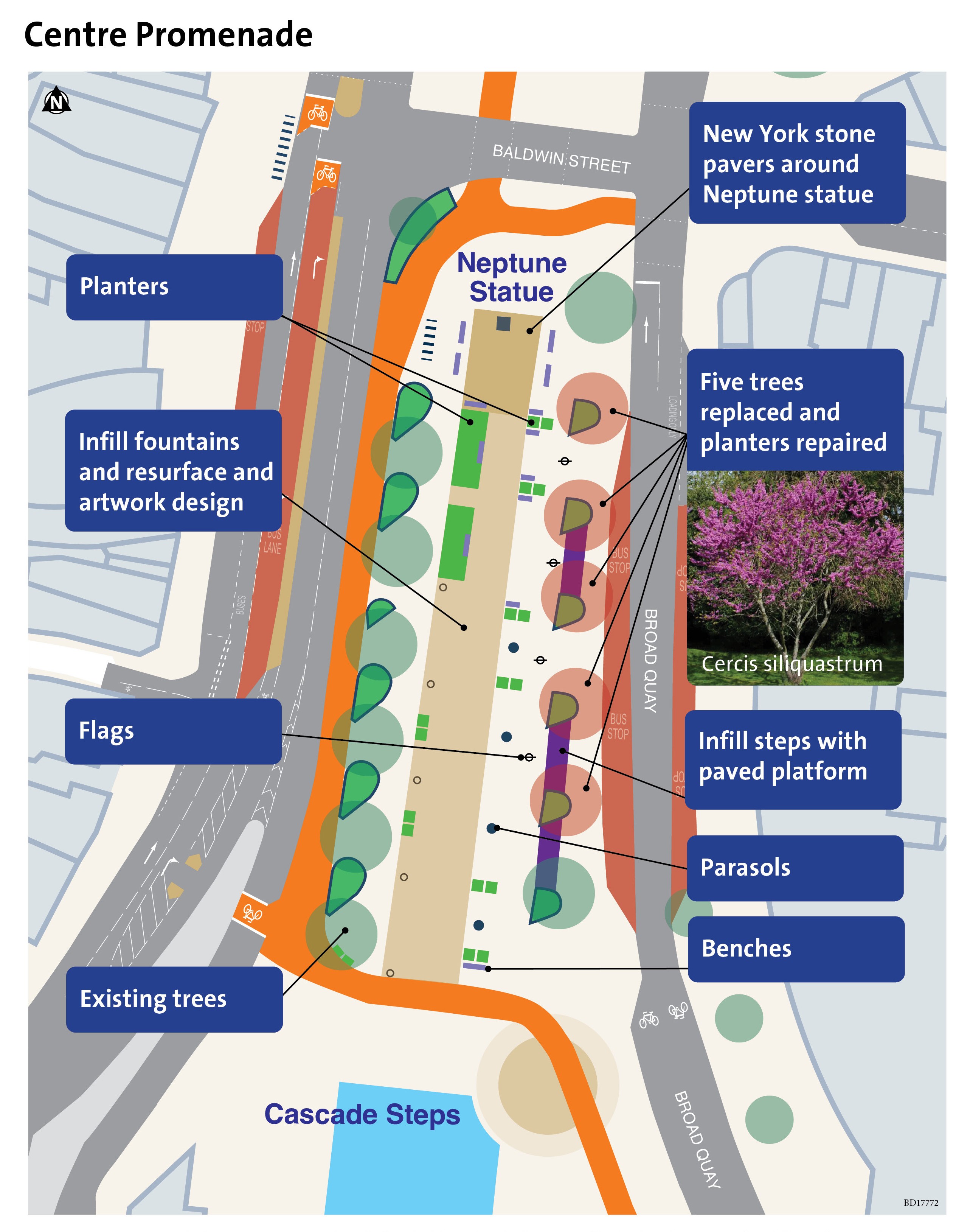 A plan showing the five trees that have been replaced in The Centre alongside Broad Quay. It also shows the area the new surfacing is which runs from the Neptune statue almost to the top of the Cascade Steps.